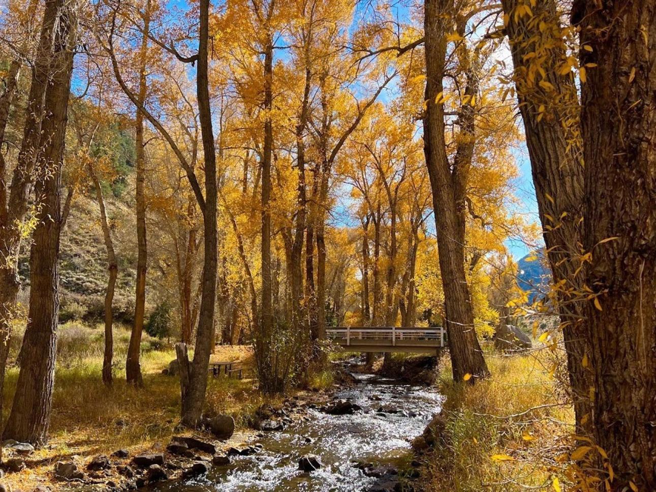 Poncha Creek Mountain Lodge, Near Monarch Mtn Salida Exteriér fotografie
